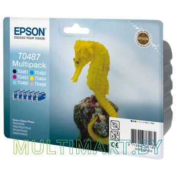 Картридж Epson C13T04874010